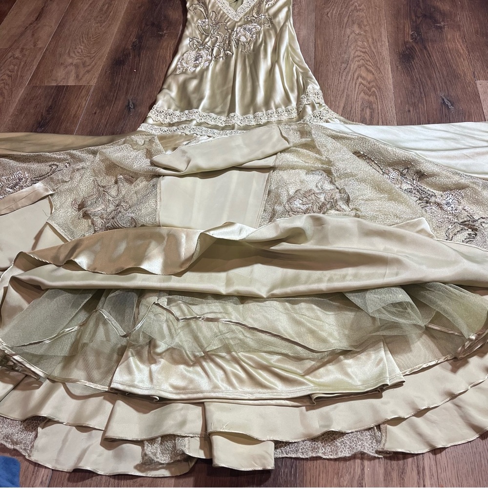 Vintage 100% Silk Beaded Dress Lace Dress Vintage Drop Waist Gown Prom Dress - Picture 8 of 17